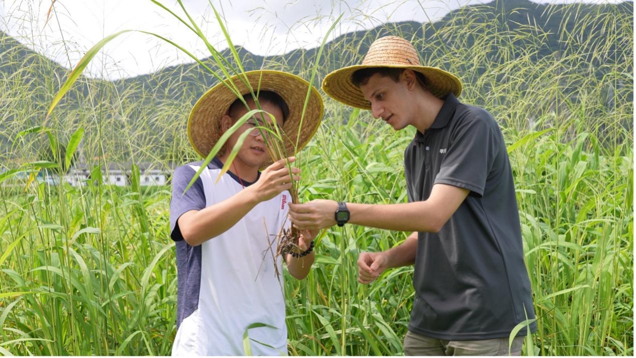 戴帽子的男孩在草地上

低可信度描述已自动生成